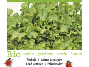 Pluksla Green Salad Bowl BIO te koop Moestuinweetjes.com